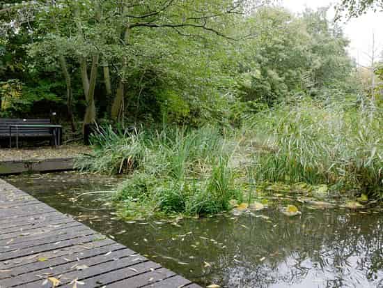 Camley Street Natural Park +1 more