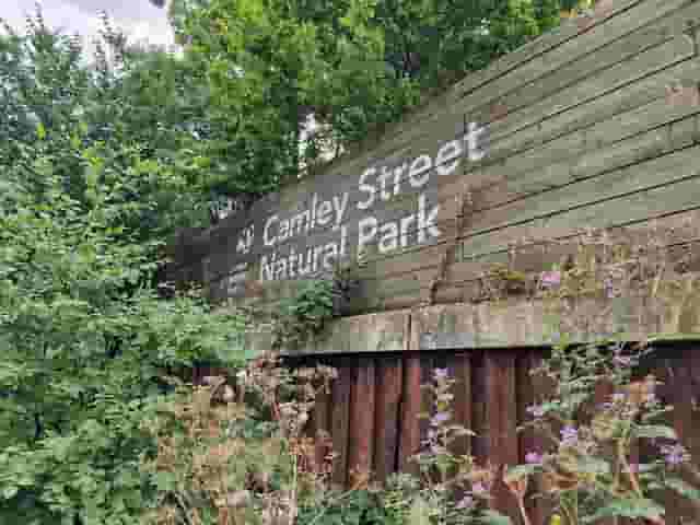 Camley Street Natural Park +1 more