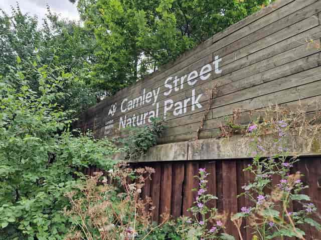 Meadow entrance at Camley Street Natural Park, ideal for outdoor events and gatherings.