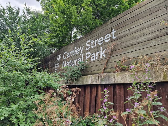 Camley Street Natural Park +1 more