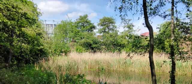 Camley Street Natural Park +1 more