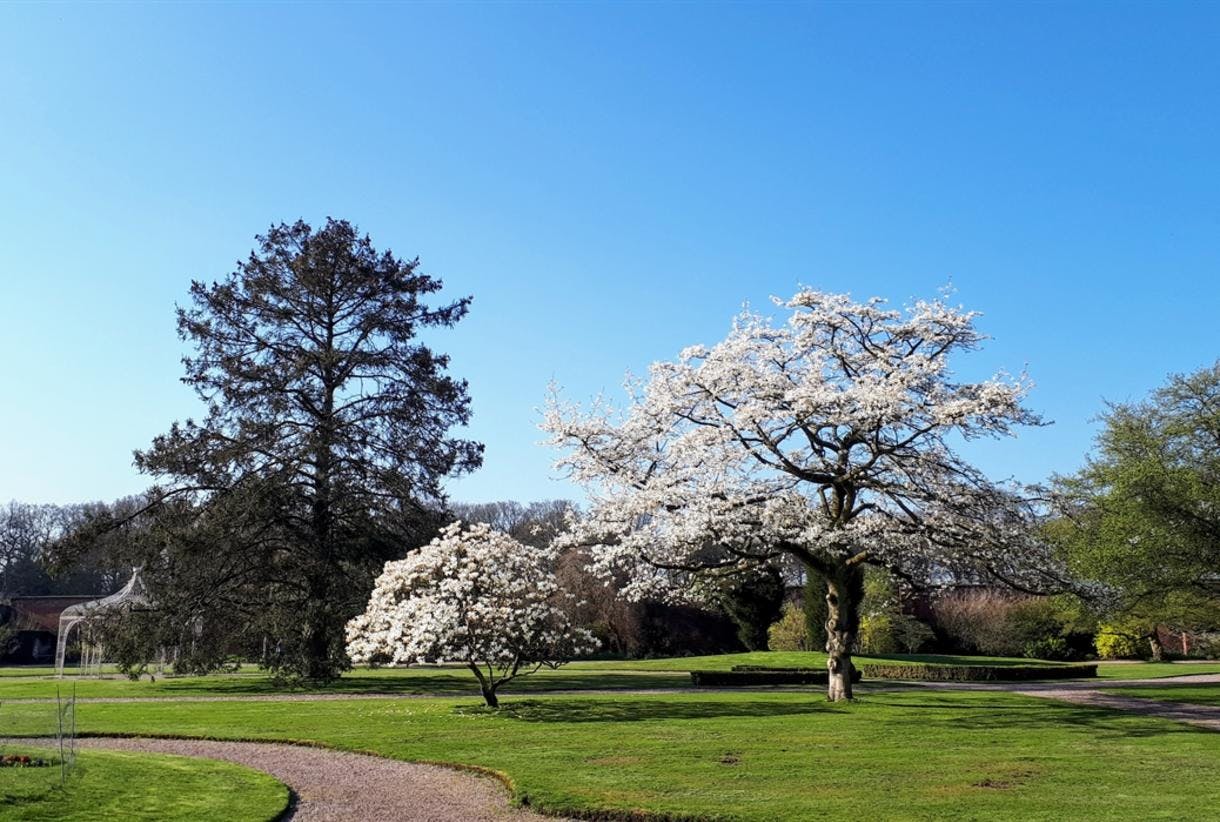 Play Area in Tatton Park, lush greenery, ideal for weddings and corporate events.