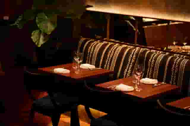 Caia London