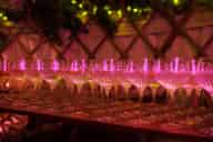 Party Venues