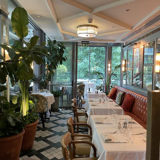 The Ivy In The Park