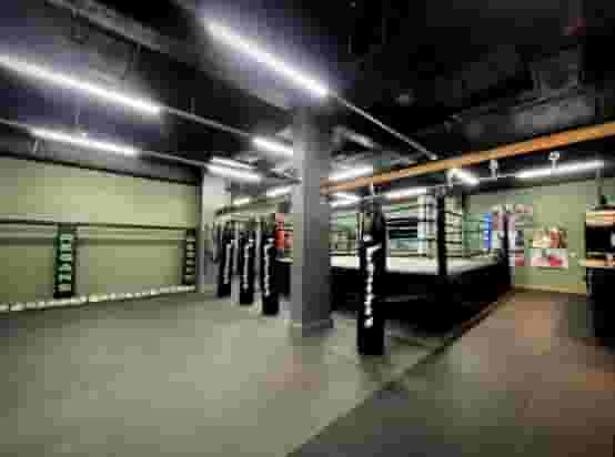 Regans Fight Champions