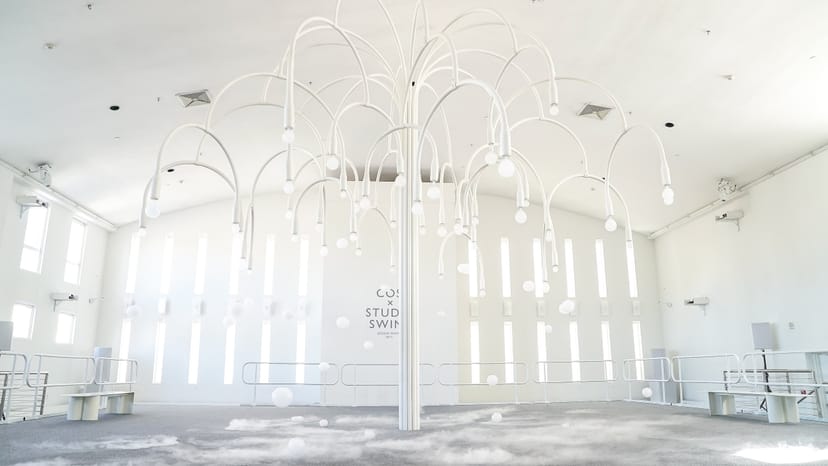 Modern event space with white tree installation, perfect for workshops and presentations.
