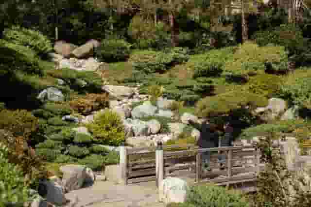 Japanese Friendship Garden