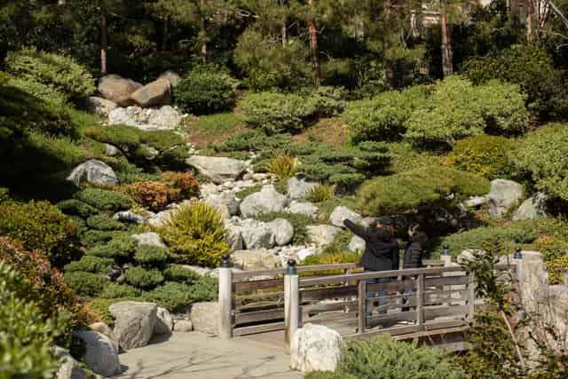 Japanese Friendship Garden