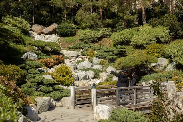 Japanese Friendship Garden