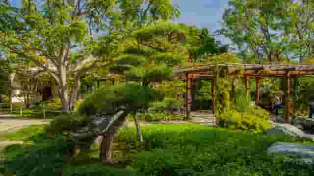 Japanese Friendship Garden