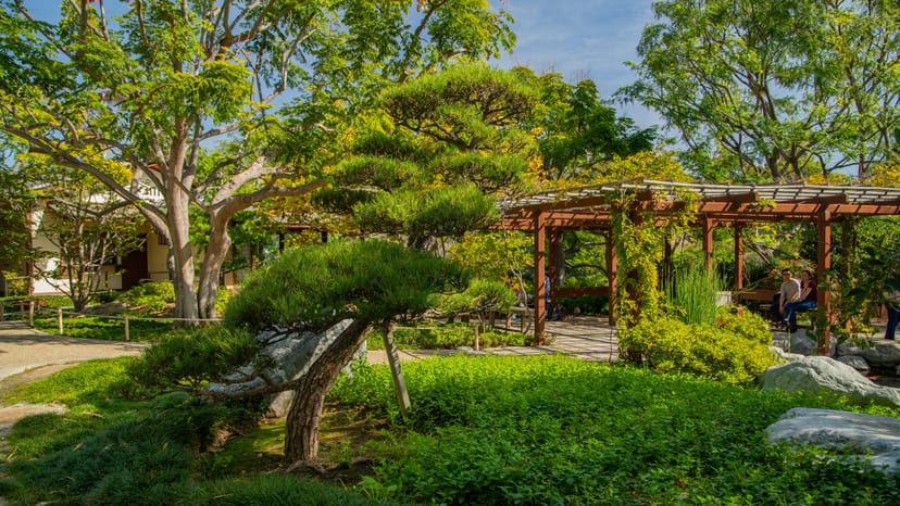 Japanese Friendship Garden pergola, ideal for outdoor meetings and events.