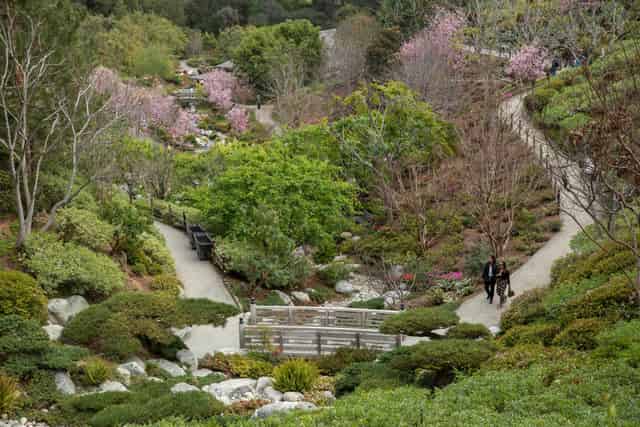 Japanese Friendship Garden