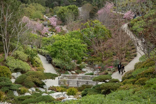 Japanese Friendship Garden