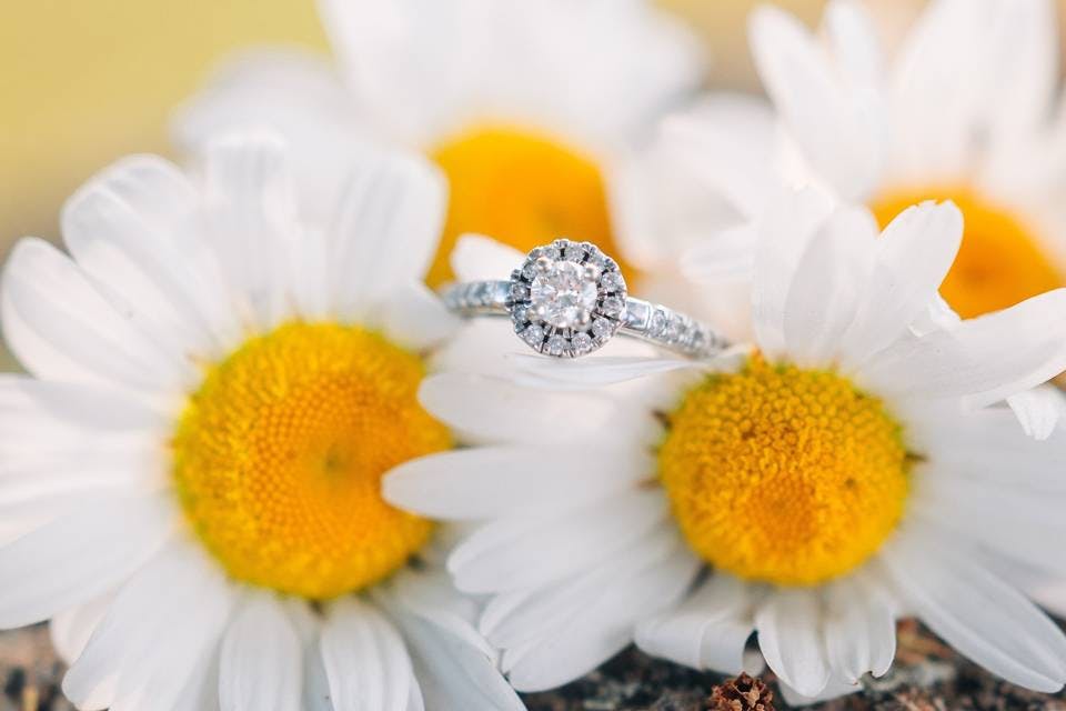Engagement ring among daisies for romantic wedding planning and outdoor events.