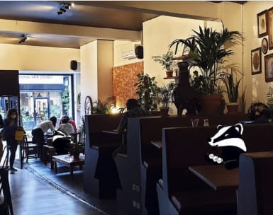 Cozy café workspace with greenery, perfect for informal meetings and small events.