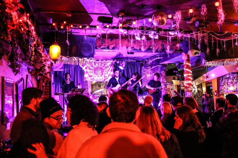 Vibrant live music event at Bottom of the Hill with colorful lighting and engaged audience.