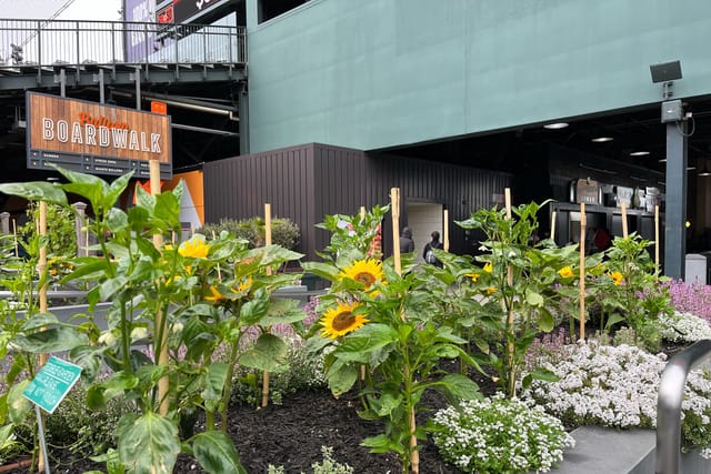 Vibrant outdoor event space at Oracle Park with lush greenery and sunflowers.