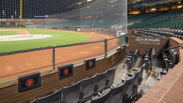 Premium Seating