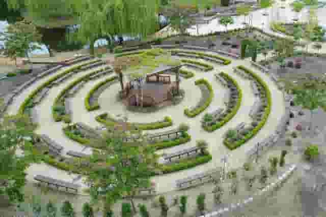 Olive Orchards