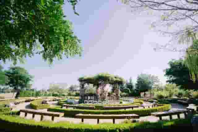 Olive Orchards