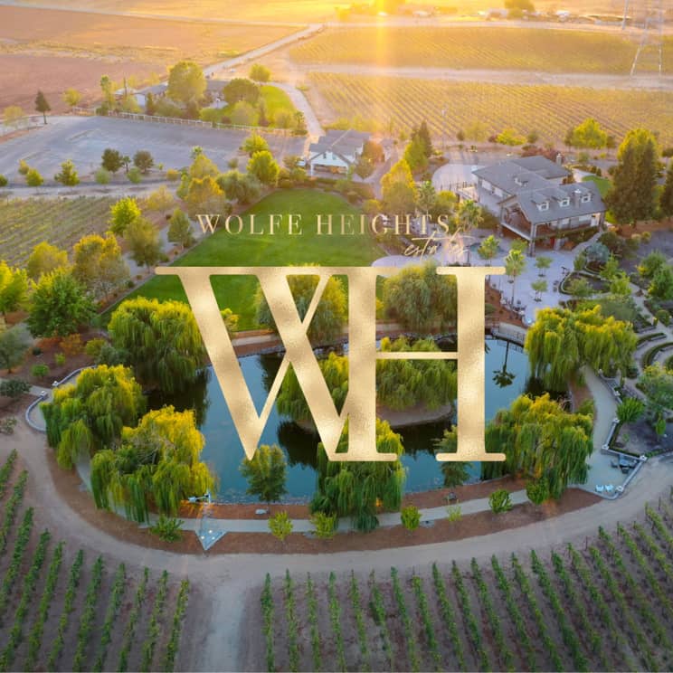 Olive orchards at Wolfe Heights Winery, perfect venue for events and gatherings.