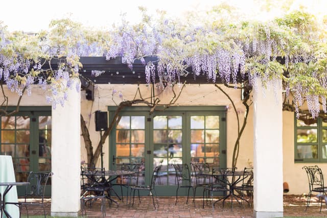 Cafe Wisteria