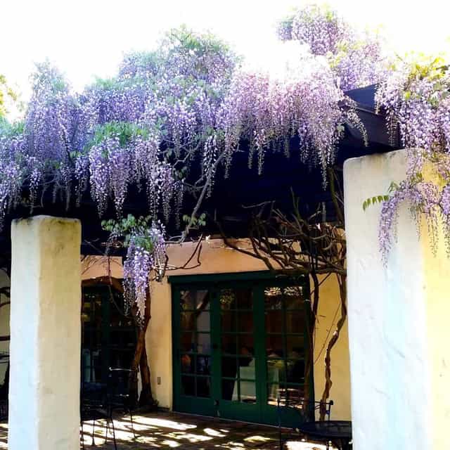 Cafe Wisteria Restaurant - Menlo Park ...