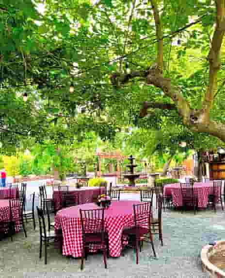 Picnic Gallery