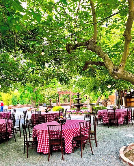 Outdoor picnic venue with checkered tables, perfect for weddings and receptions.