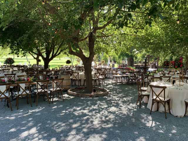 Picnic Gallery
