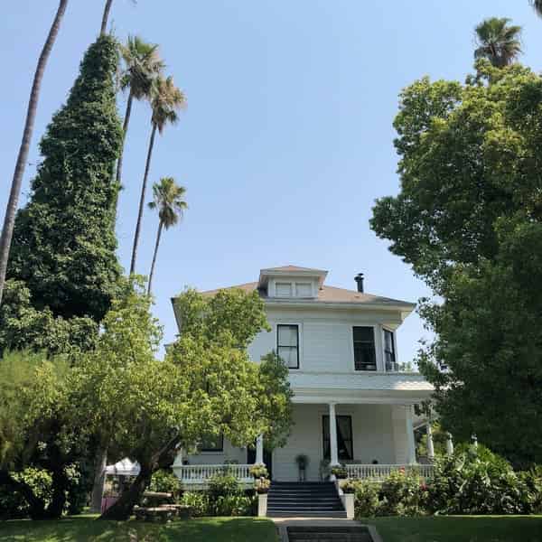 Picnic Gallery
