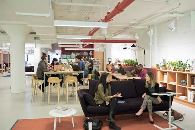 Vibrant coworking space with greenery, ideal for meetings and networking events.