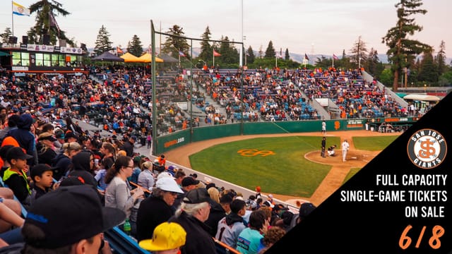Excite Ballpark in San Jose Giants, vibrant crowd, ideal for sports and events.