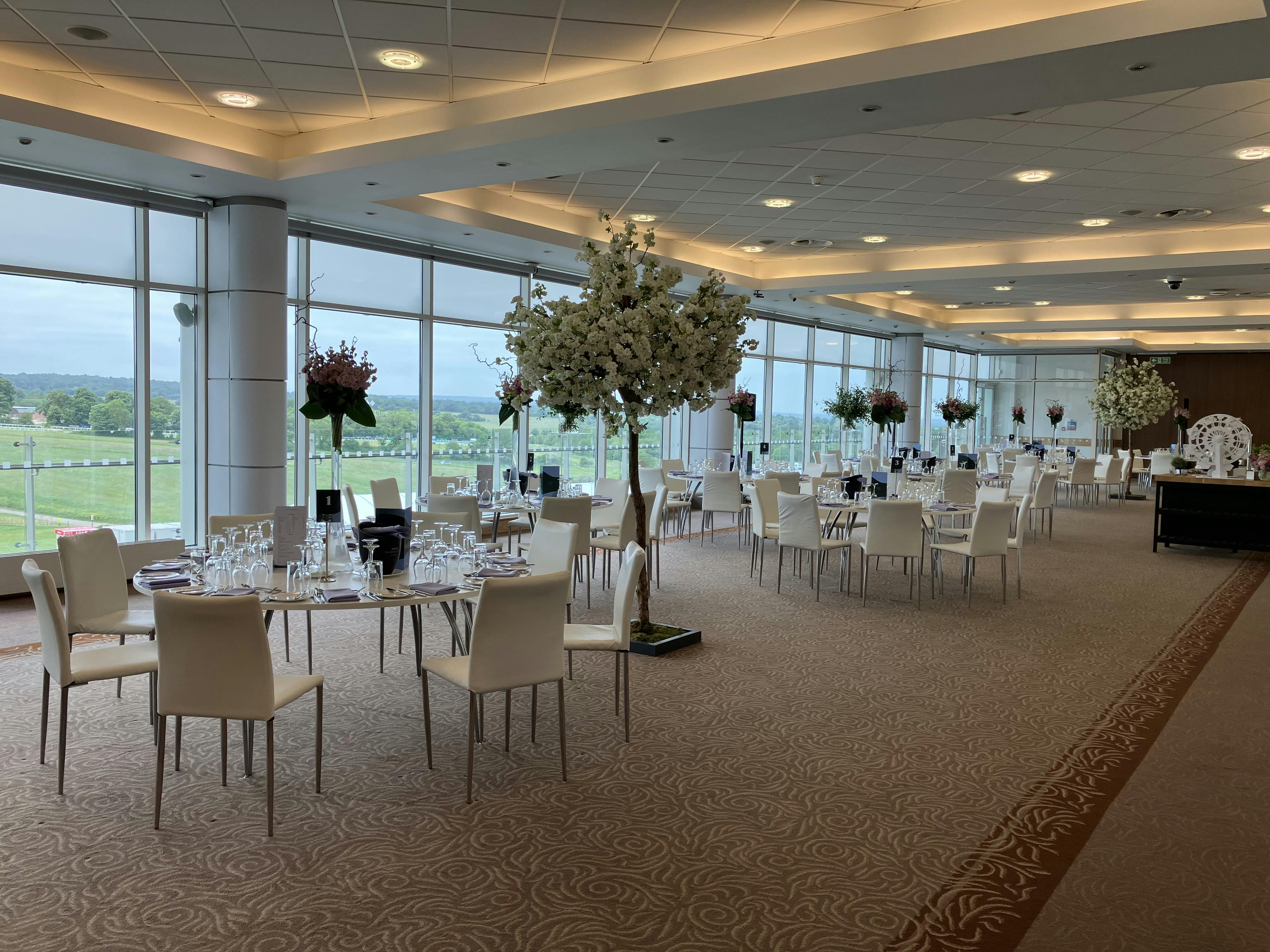 Epsom Downs Racecourse - The Lammtarra Suite image 1