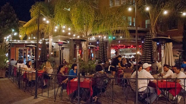 Outdoor Tequila Bar at Milagros: vibrant space with palm trees for networking events.
