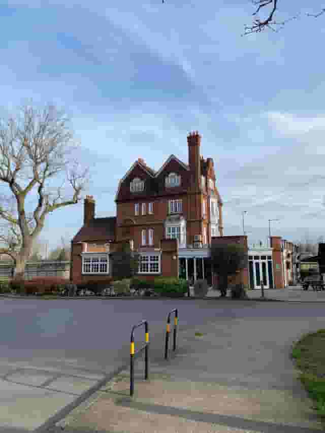Fox Connaught