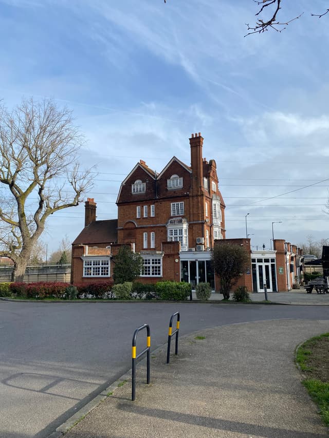 Fox Connaught