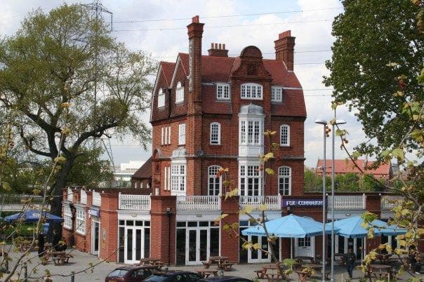 Fox Connaught