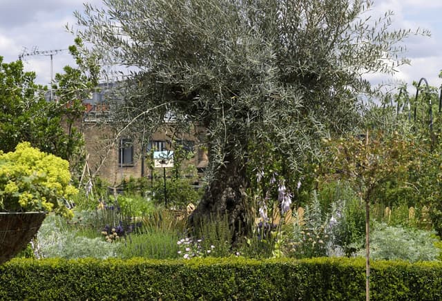 Ham Yard Hotel