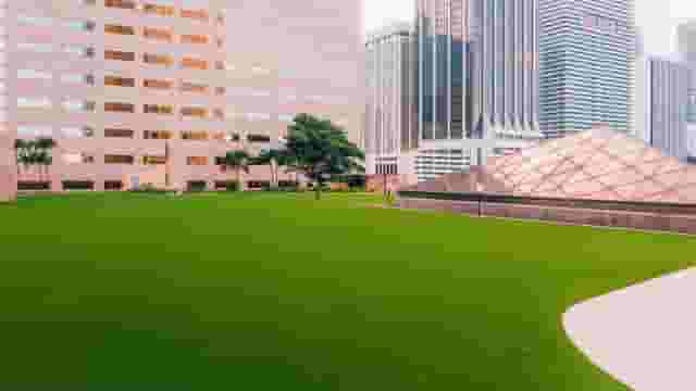 Spacious Lawn