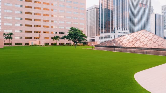 Spacious Lawn
