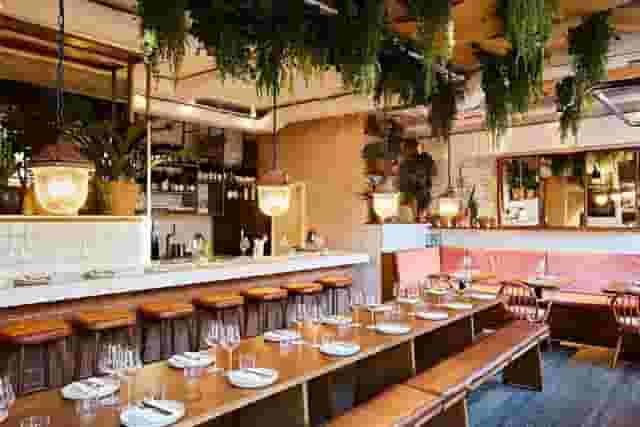 Carmel Fitzrovia