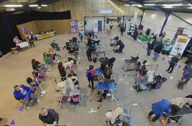 Exmoor dog show with grooming stations and vibrant community engagement.