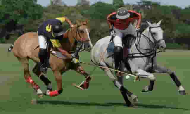 Emsworth Polo Grounds