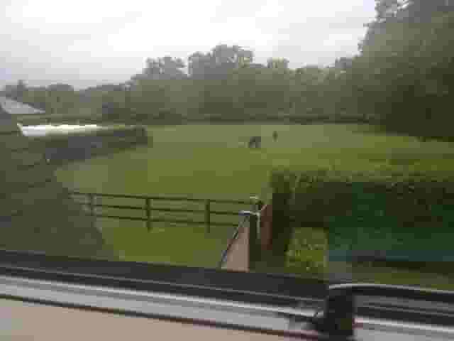 Emsworth Polo Grounds