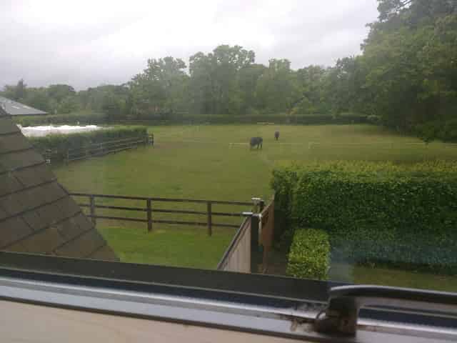 Emsworth Polo Grounds