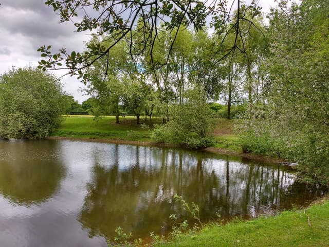 Emsworth Polo Grounds