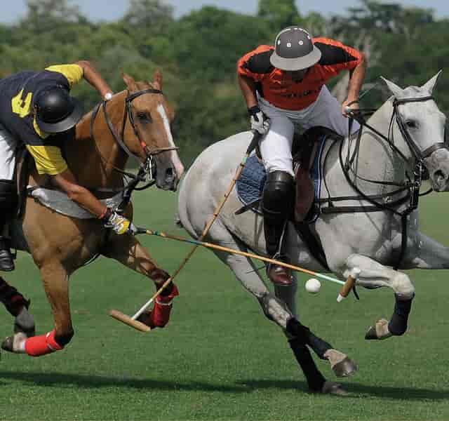 Dynamic polo match at Emsworth Grounds, perfect for corporate events and networking.