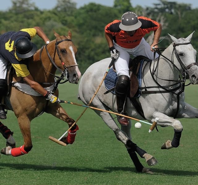 Emsworth Polo Grounds